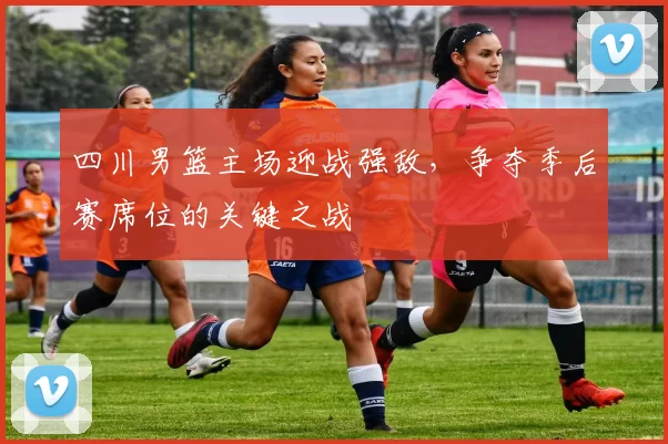 四川男篮主场迎战强敌，争夺季后赛席位的关键之战