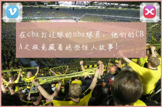在cba打过球的nba球员，他们的CBA之旅竟藏着这些惊人故事！