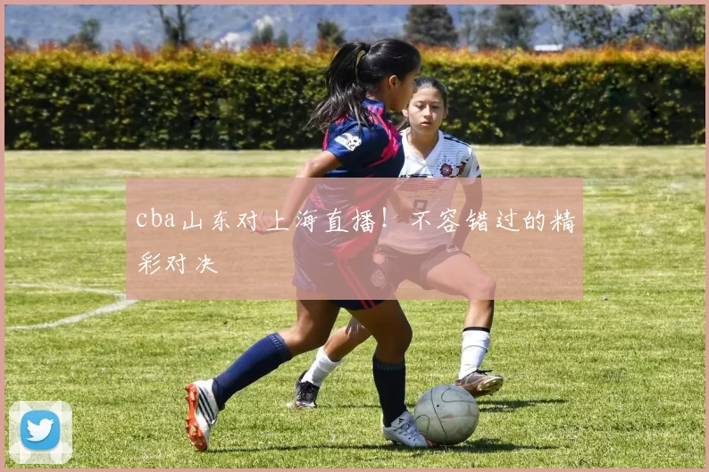 cba山东对上海直播！不容错过的精彩对决